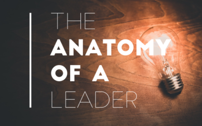 The Anatomy of Leadership